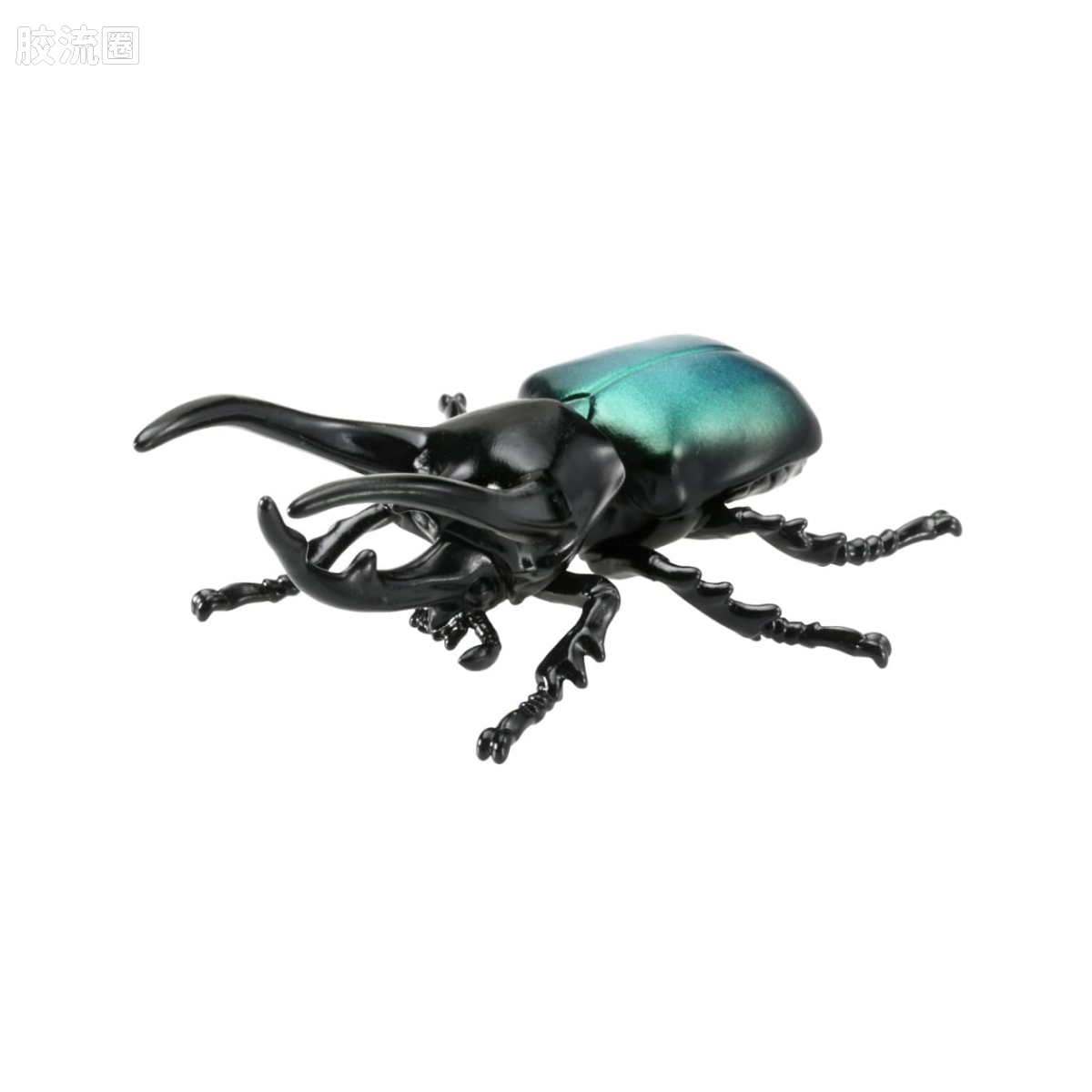 AS-39 高卡萨斯南洋大兜虫