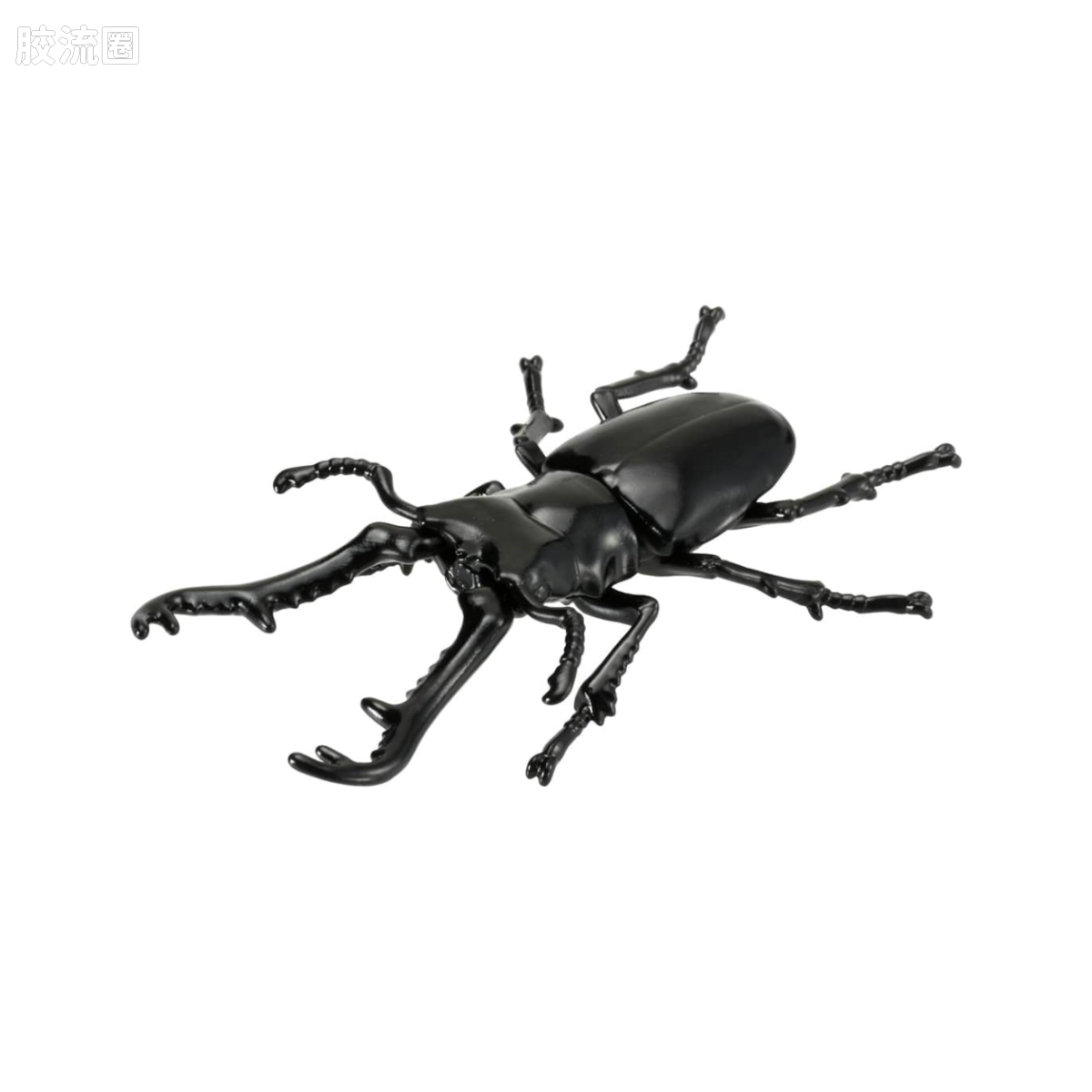 AS-40 长齿黑锹甲