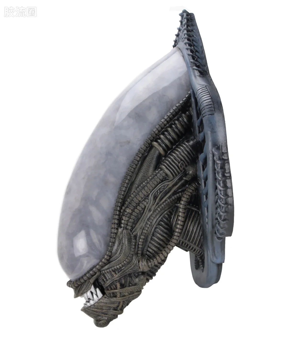 NECA 7寸可动人形系列 配件系列 异形战利品壁挂 - 图片