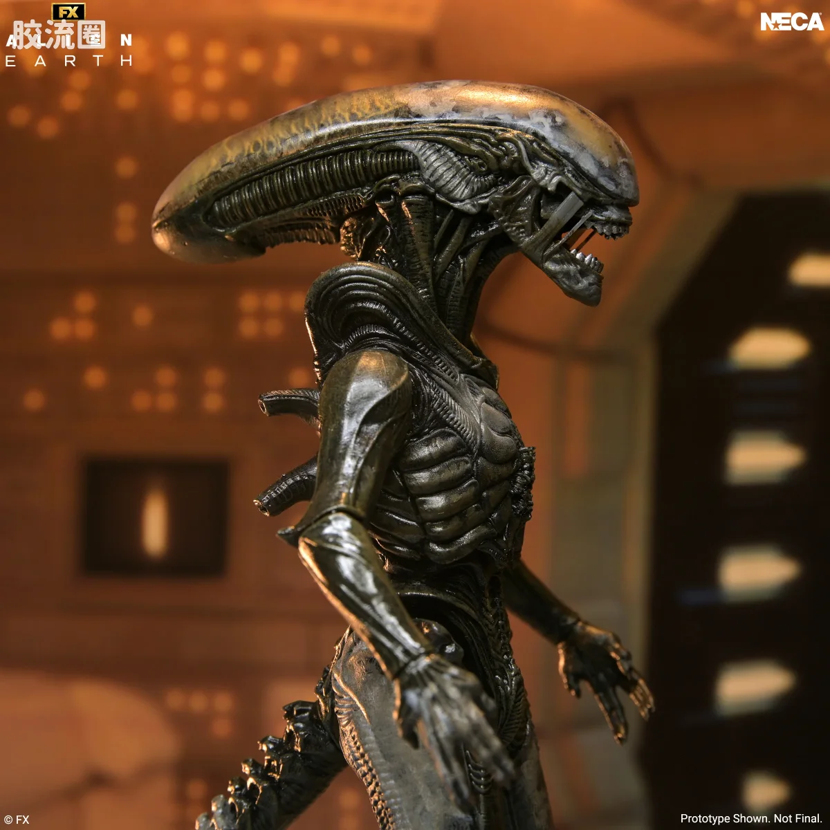 NECA 7寸可动人形系列 异形系列 《异形：地球》  异形 - 图片
