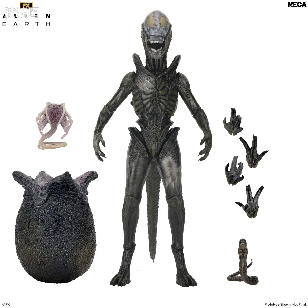 NECA 7寸可动人形系列 异形系列 《异形：地球》  异形 - 图片