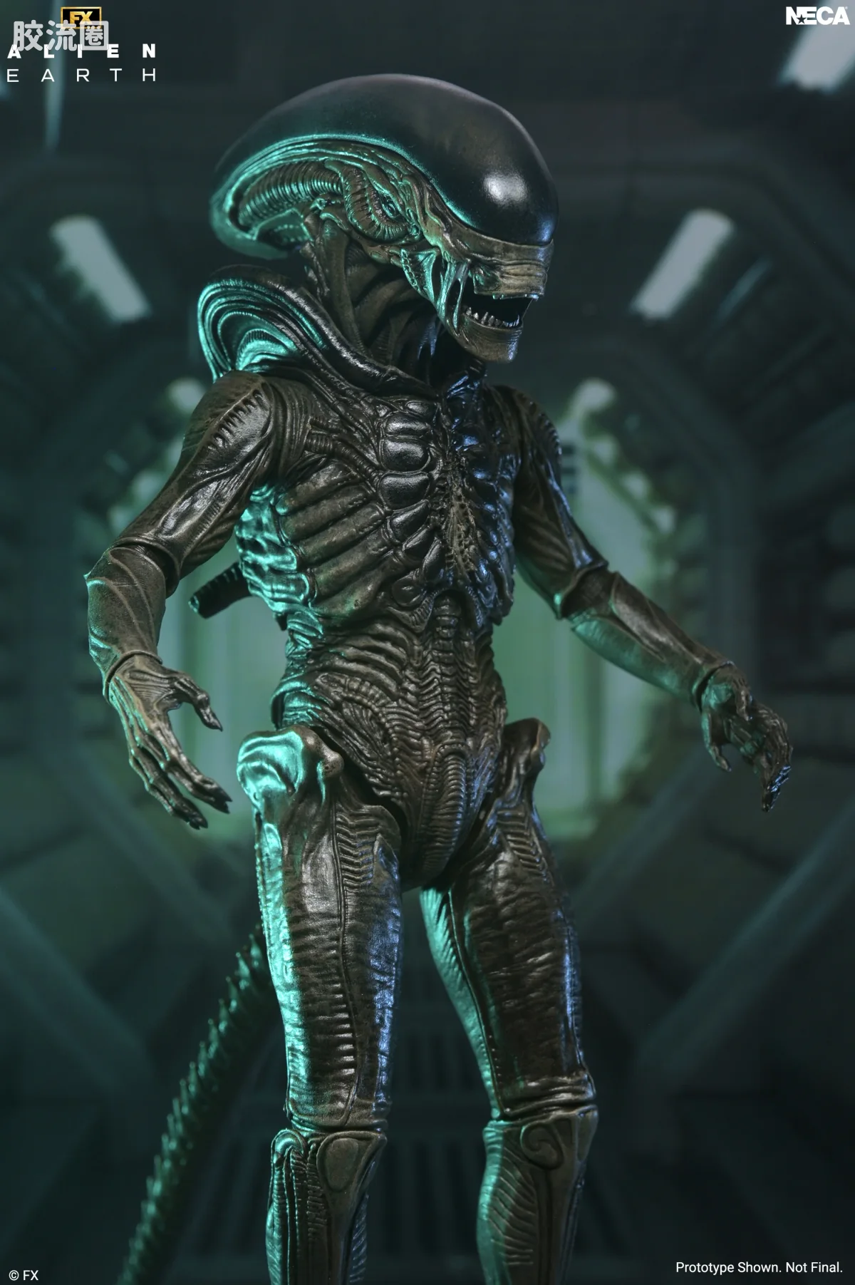 NECA 7寸可动人形系列 异形系列 异形：地球 异形 - 图片