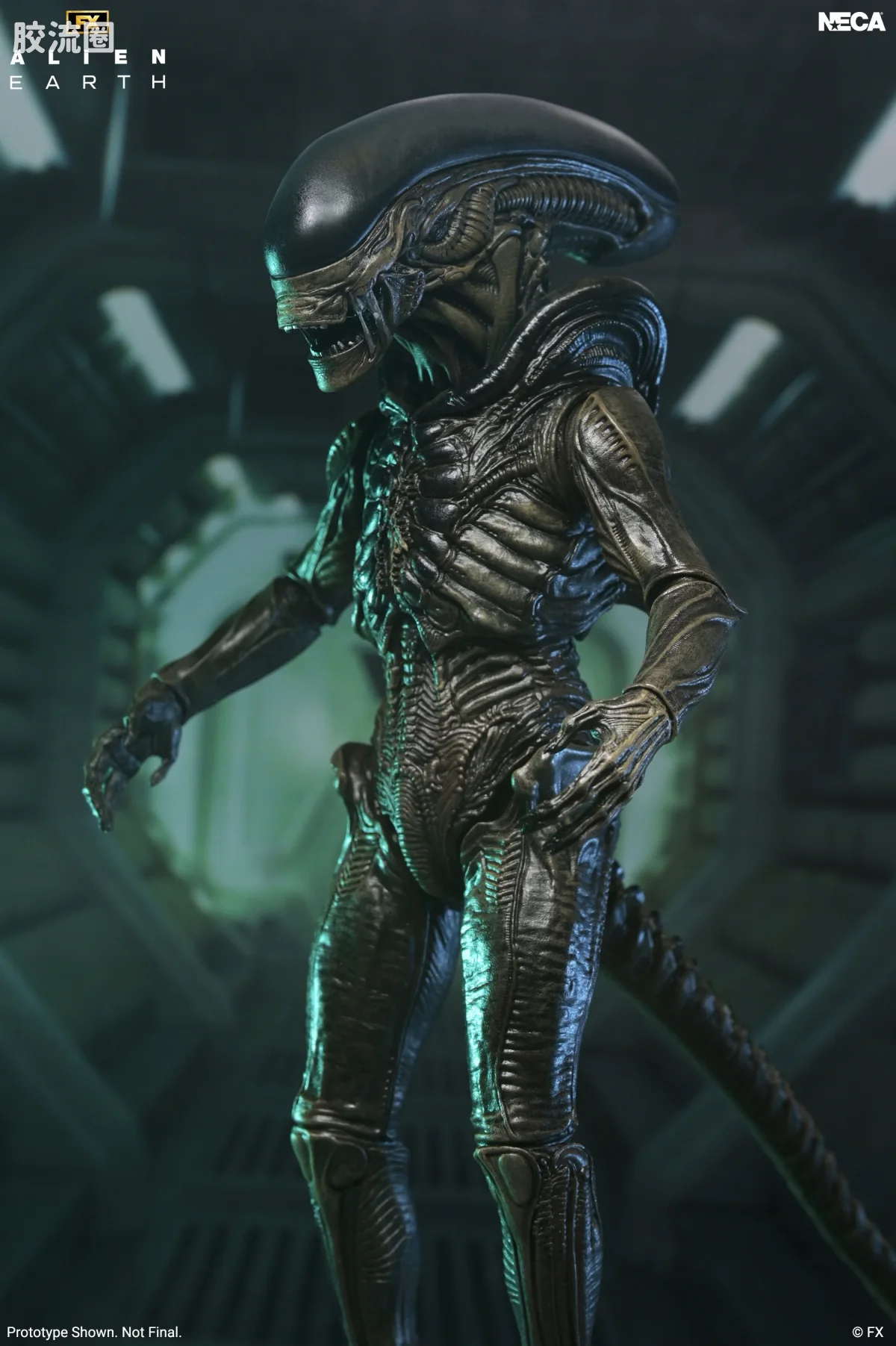 NECA 7寸可动人形系列 异形系列 异形：地球 异形 - 图片