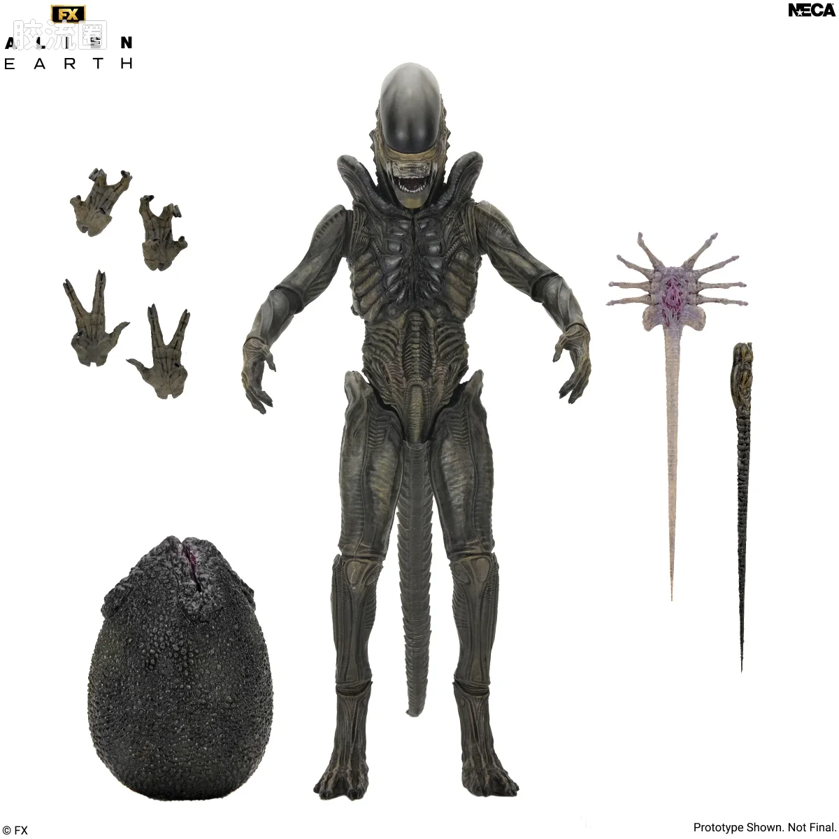 NECA 7寸可动人形系列 异形系列 异形：地球 异形 - 图片