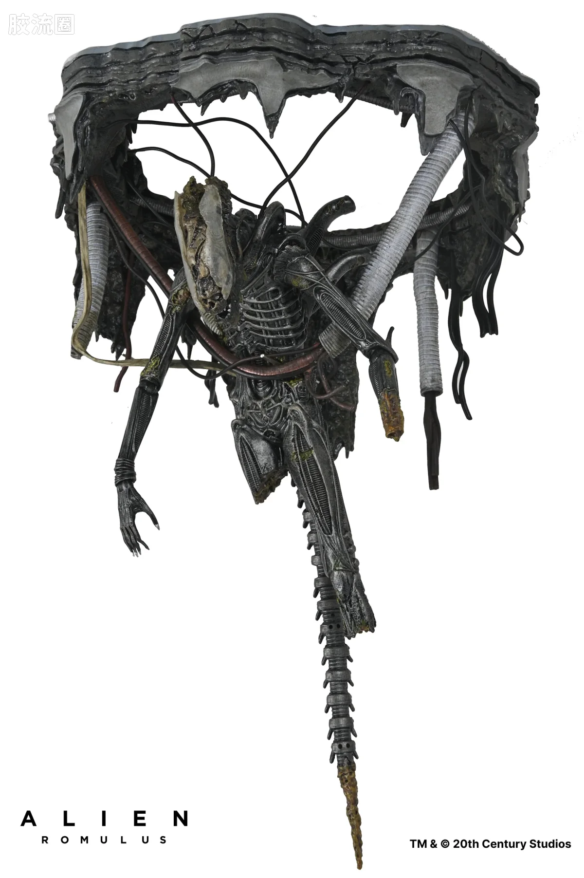 NECA 7寸可动人形系列 异形：夺命舰 电影系列 实验室悬挂异形 XX121 - 图片