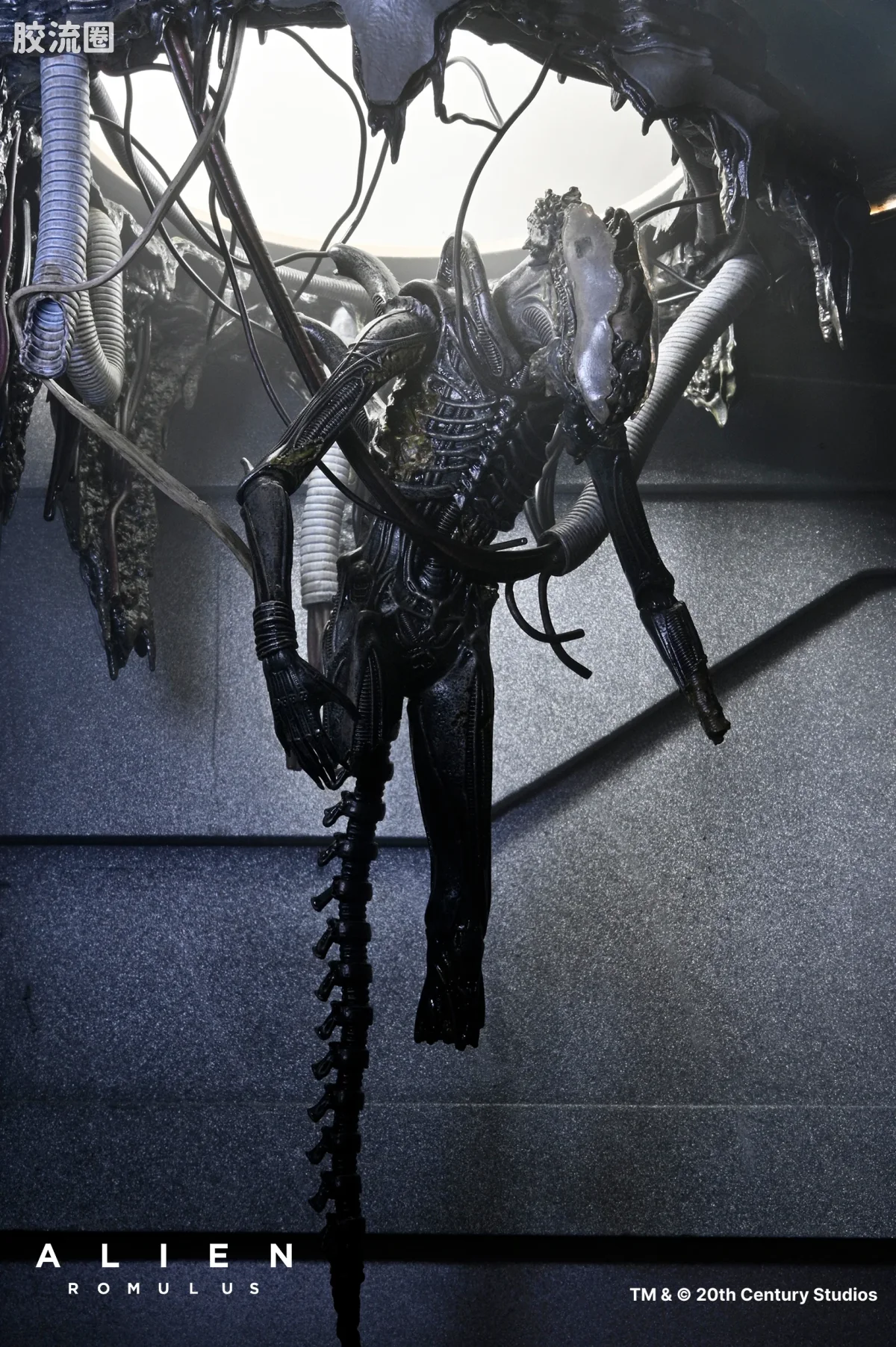 NECA 7寸可动人形系列 异形：夺命舰 电影系列 实验室悬挂异形 XX121 - 图片