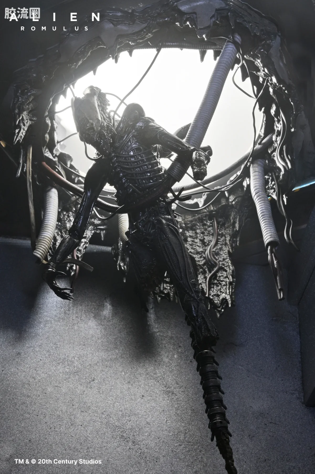NECA 7寸可动人形系列 异形：夺命舰 电影系列 实验室悬挂异形 XX121 - 图片