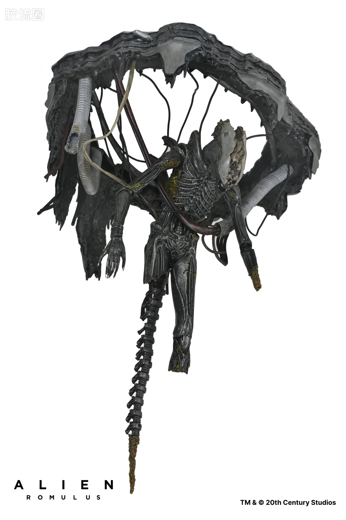 NECA 7寸可动人形系列 异形：夺命舰 电影系列 实验室悬挂异形 XX121 - 图片