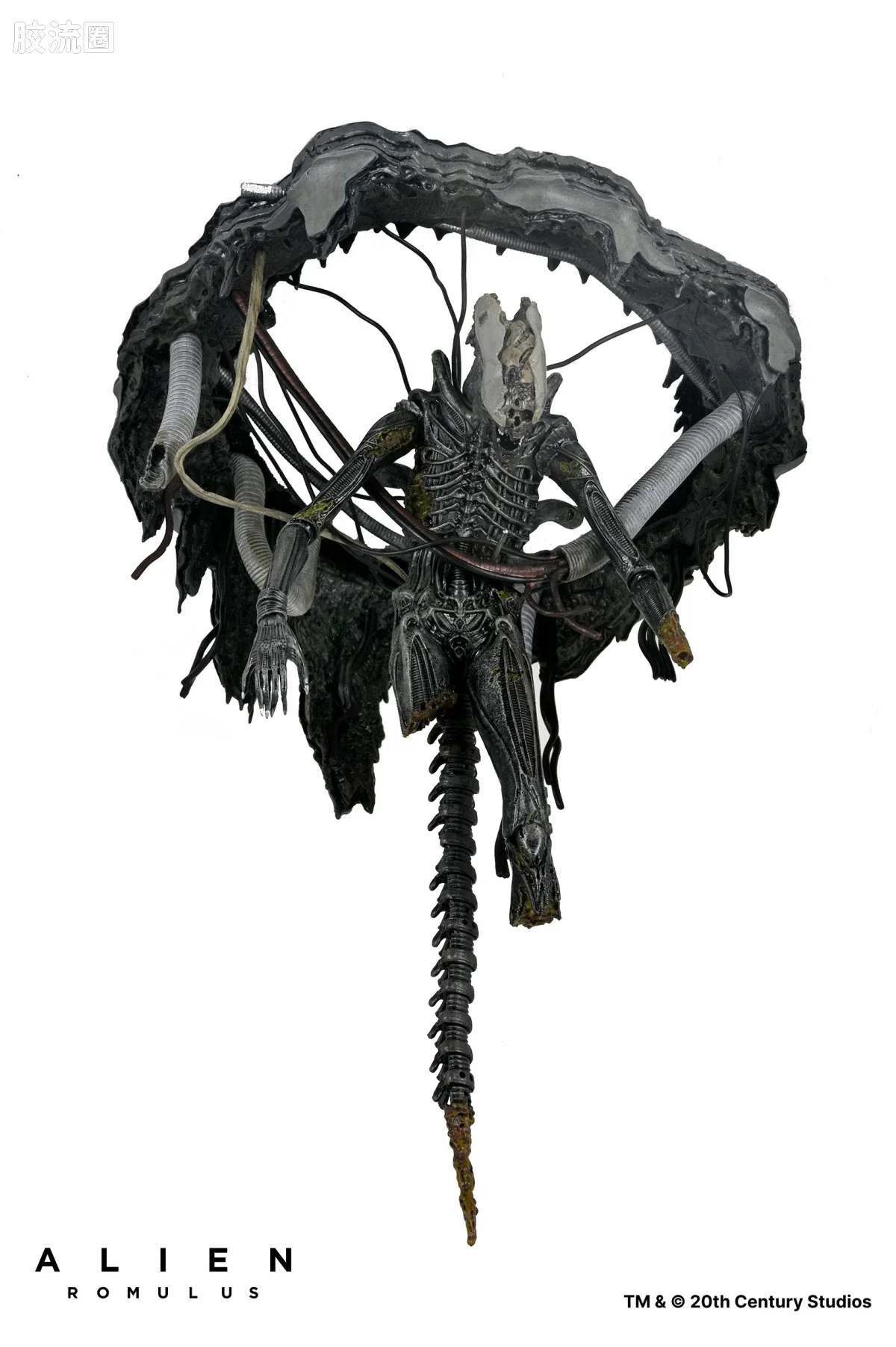 NECA 7寸可动人形系列 异形：夺命舰 电影系列 实验室悬挂异形 XX121 - 图片