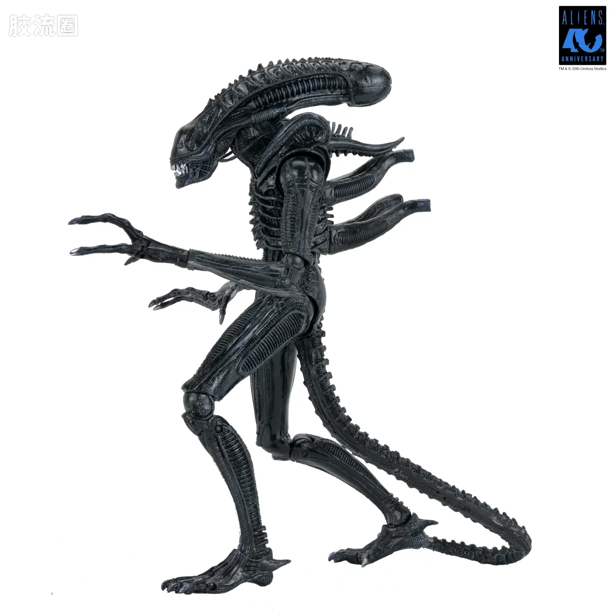 NECA 7寸可动人形系列 异形系列 40周年 异形战士 - 图片