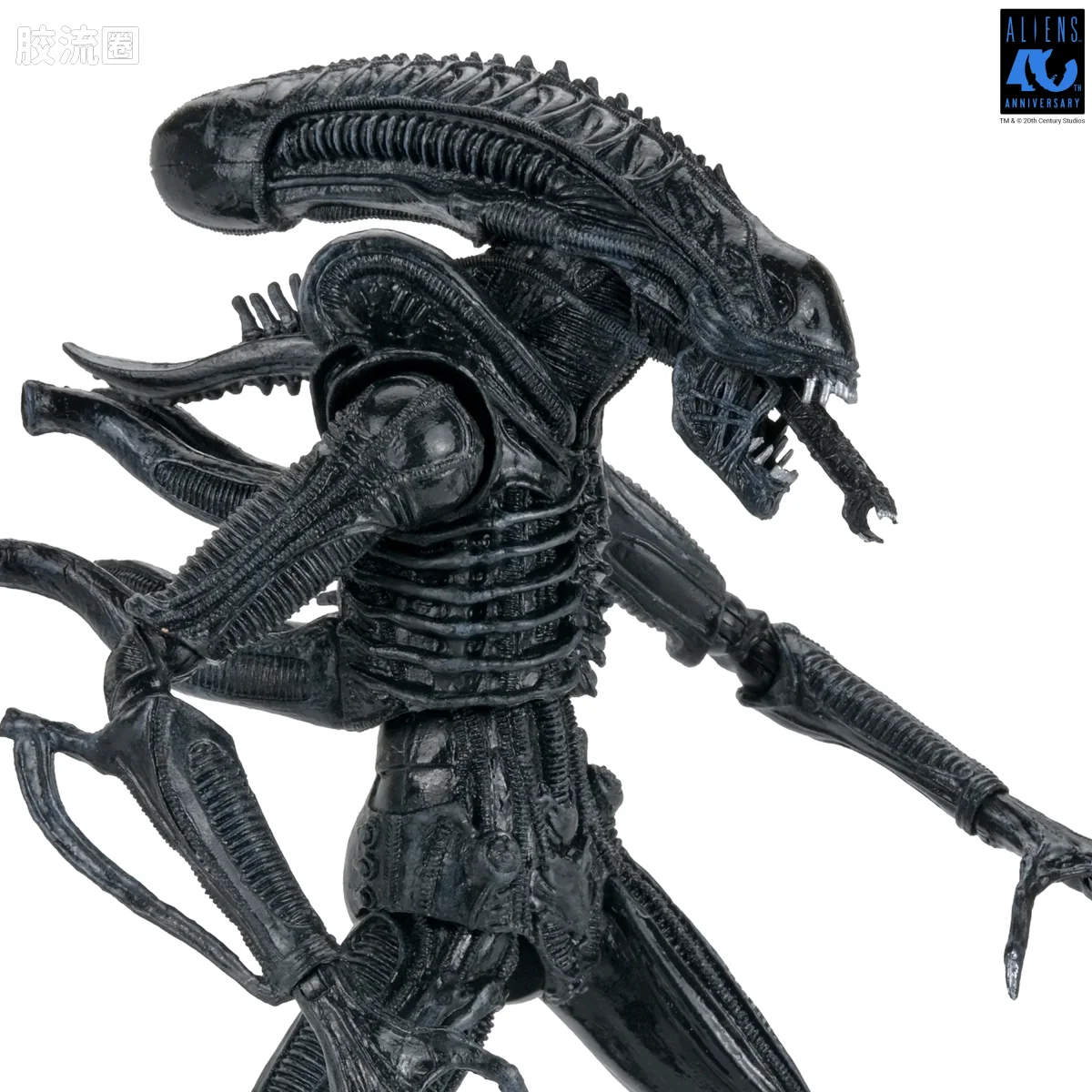 NECA 7寸可动人形系列 异形系列 40周年 异形战士 - 图片