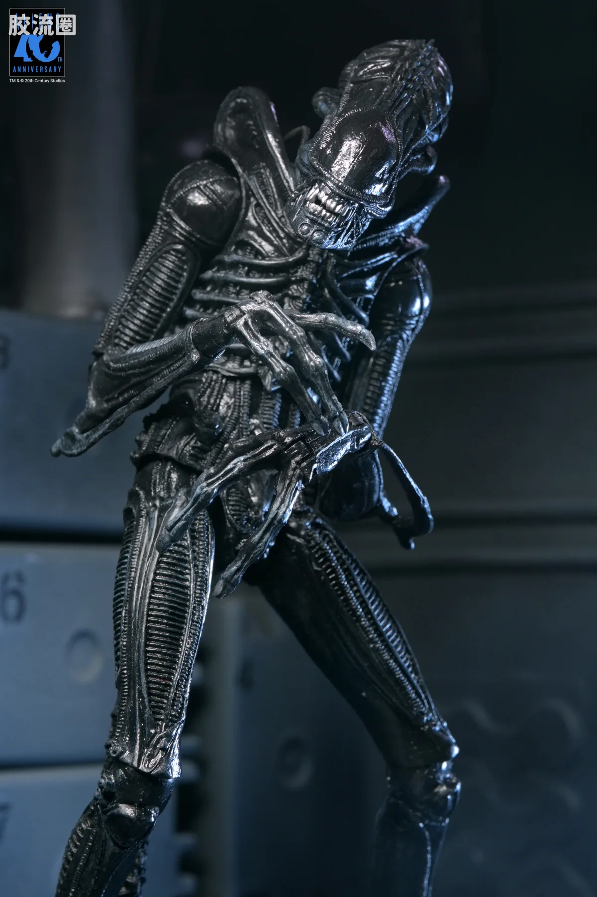 NECA 7寸可动人形系列 异形系列 40周年 异形战士 - 图片