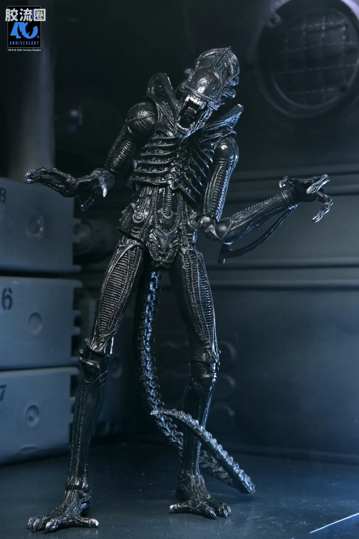 NECA 7寸可动人形系列 异形系列 40周年 异形战士 - 图片