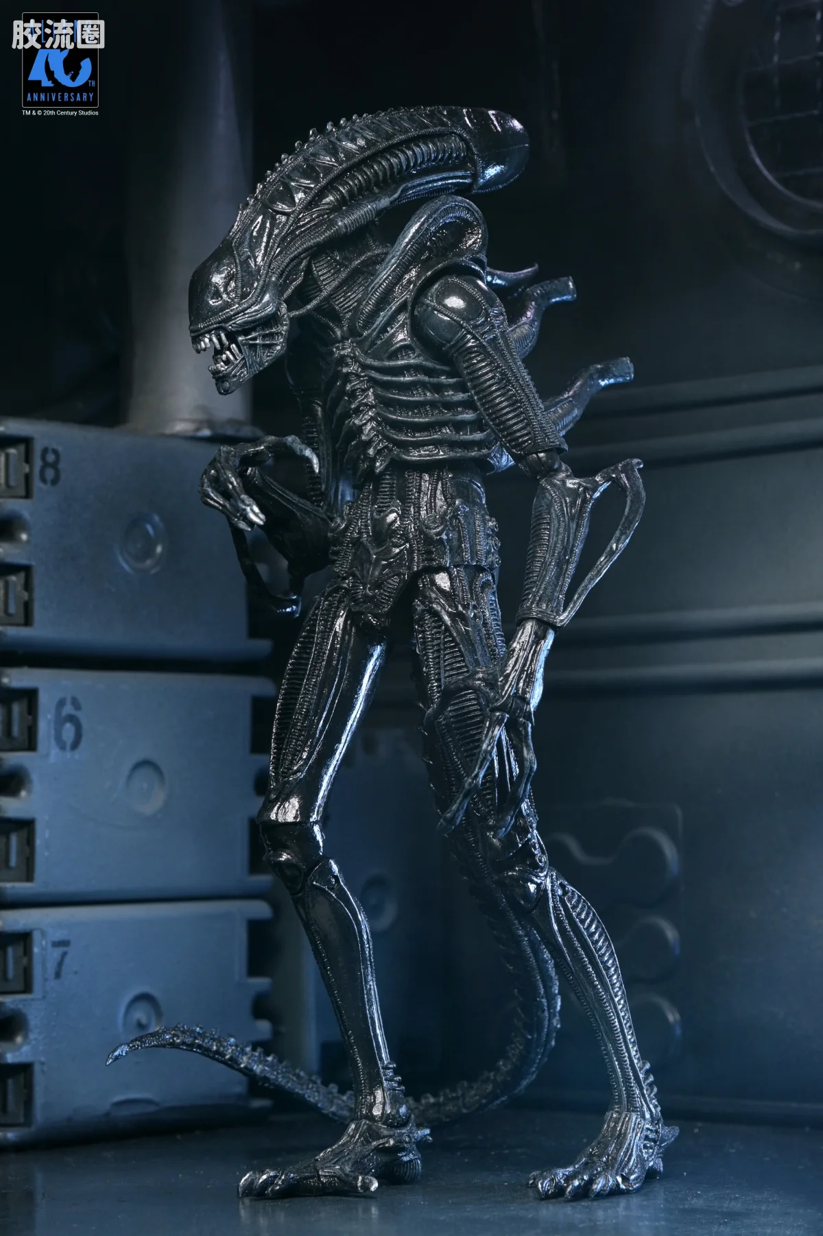 NECA 7寸可动人形系列 异形系列 40周年 异形战士 - 图片