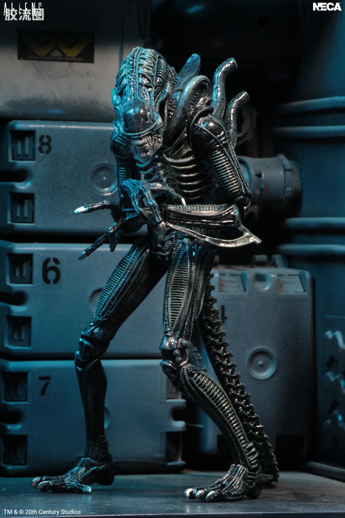 NECA 7寸可动人形系列 异形系列 异形 蓝色战士 - 图片