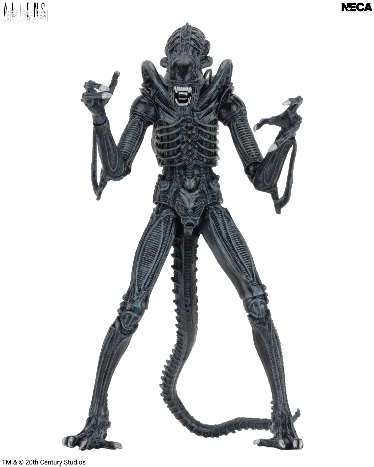 NECA 7寸可动人形系列 异形系列 异形 蓝色战士 - 图片