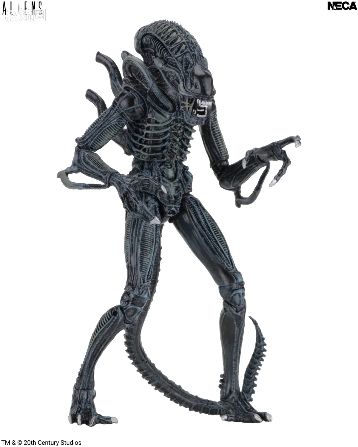 NECA 7寸可动人形系列 异形系列 异形 蓝色战士 - 图片