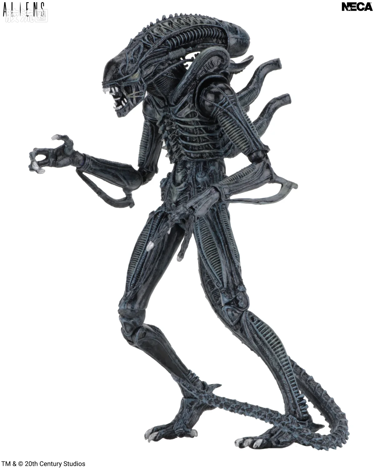 NECA 7寸可动人形系列 异形系列 异形 蓝色战士 - 图片