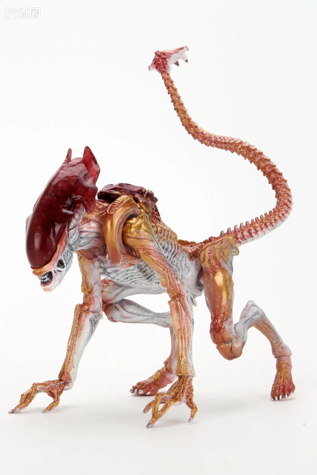 NECA 7寸可动人形系列 异形系列 豹异形(Kenner致敬版) - 图片