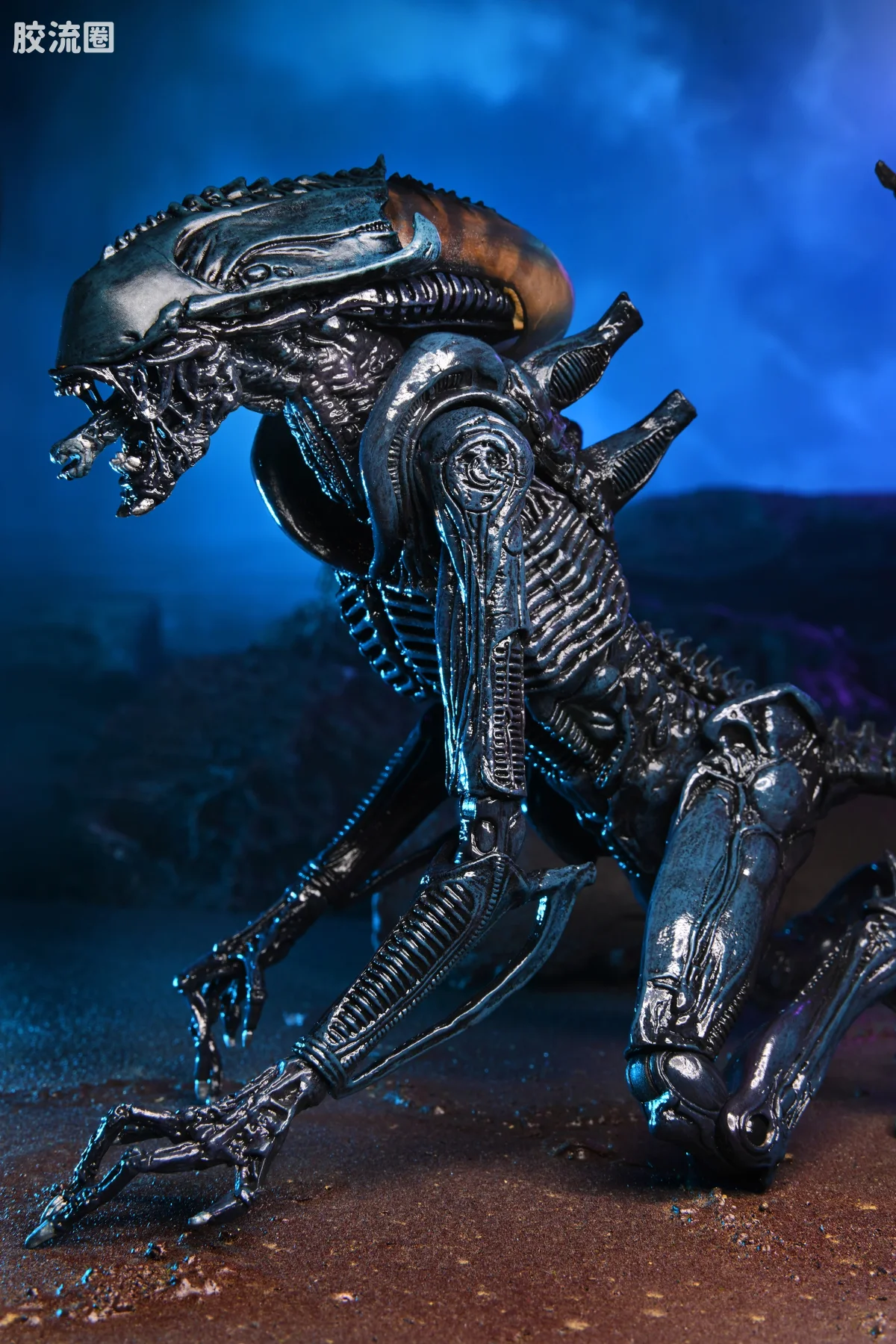 NECA 7寸可动人形系列 街机游戏 异形大战铁血战士 蛛网异形 - 图片