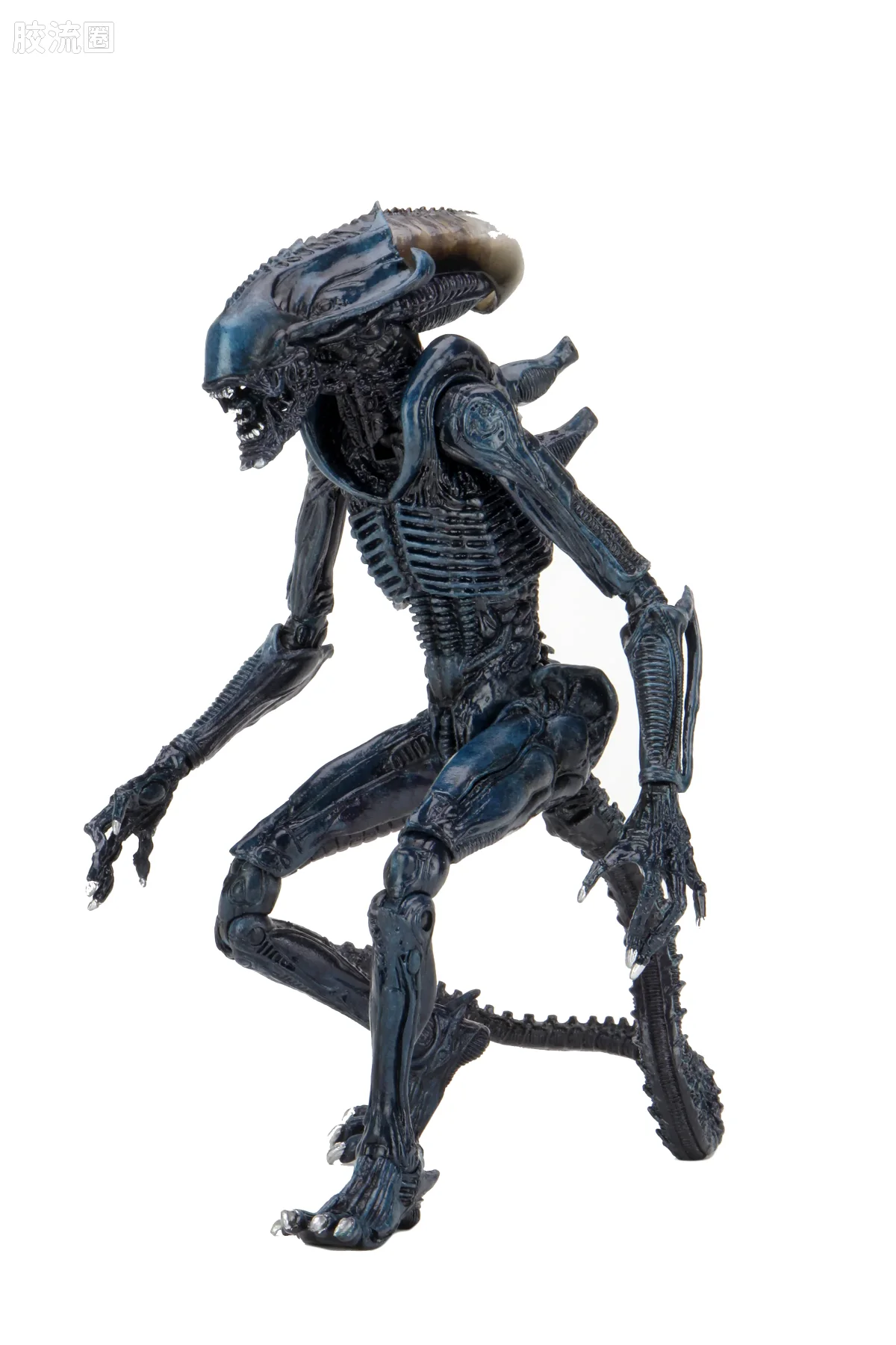 NECA 7寸可动人形系列 街机游戏 异形大战铁血战士 蛛网异形 - 图片