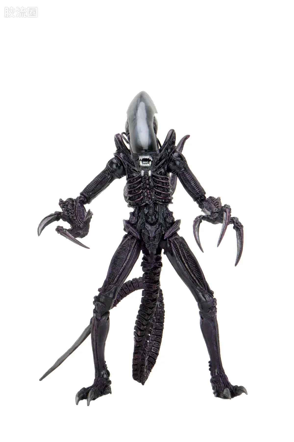 NECA 7寸可动人形系列 街机游戏 异形大战铁血战士 锋刃钩爪异形 - 图片
