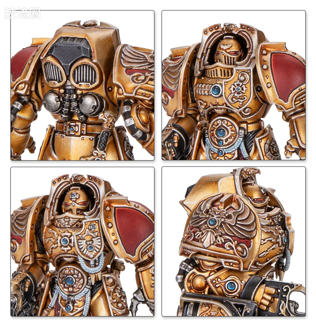 战锤40K Adeptus Custodes 帝皇禁军 11版 阿奎隆终结者团 - 图片