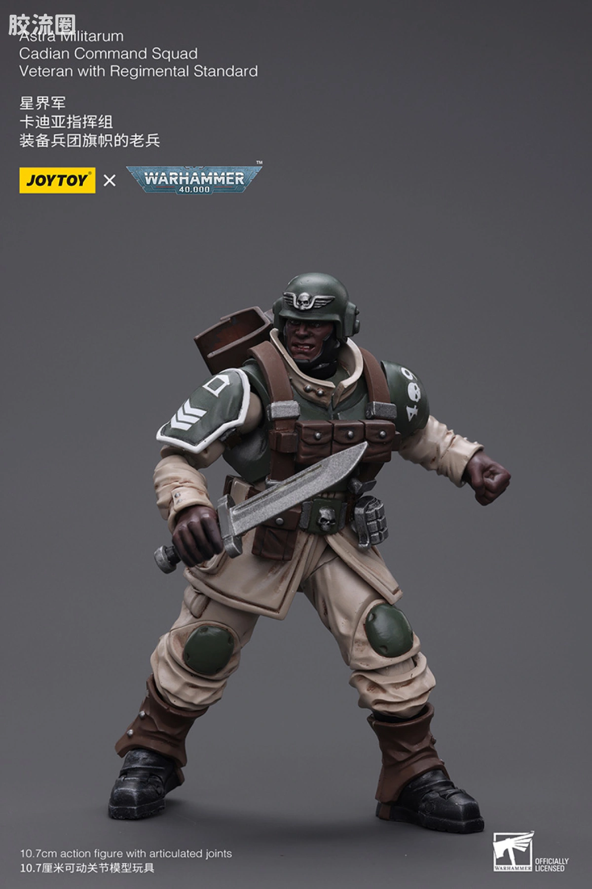 JOYTOY x 战锤40K 帝国凡人军队（星界军、克里格、修女会、忠嗣军） 星界军 卡迪亚指挥组 兵团旗帜老兵 - 图片