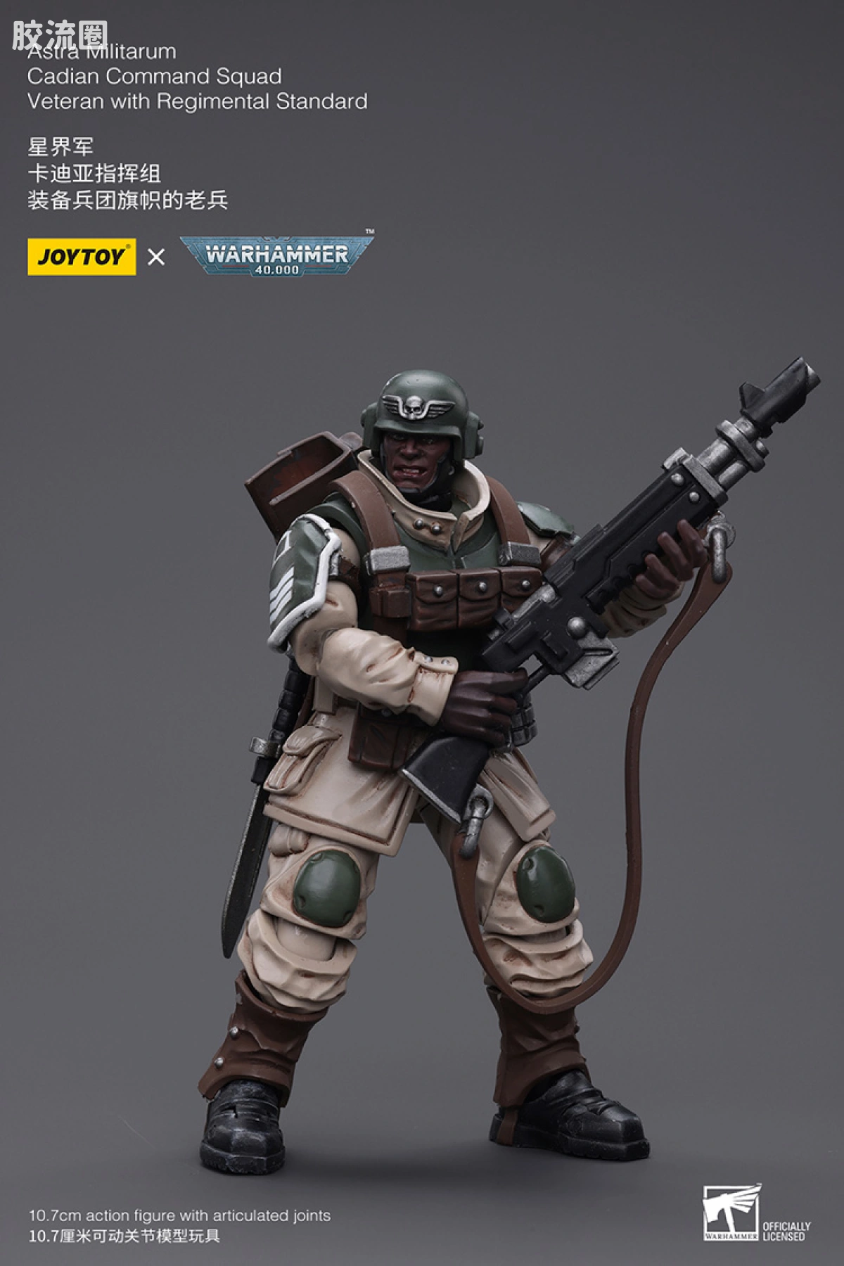 JOYTOY x 战锤40K 帝国凡人军队（星界军、克里格、修女会、忠嗣军） 星界军 卡迪亚指挥组 兵团旗帜老兵 - 图片