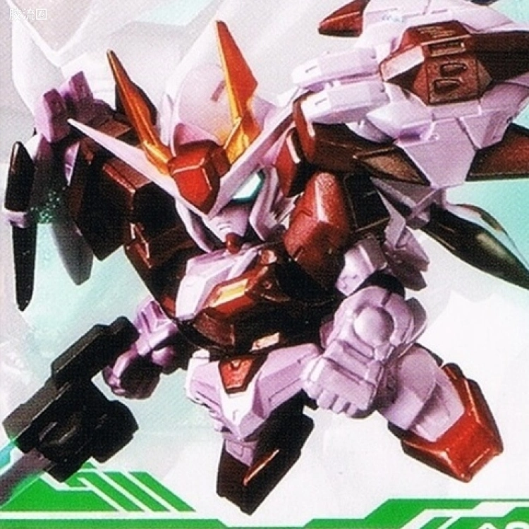 BOX SP