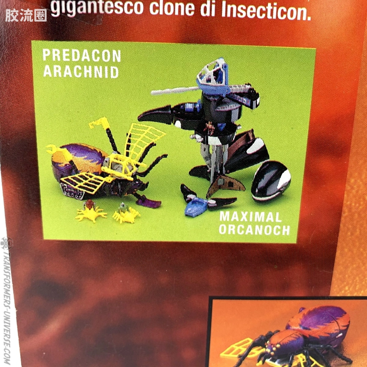 变形金刚 美版野兽之战 96-97  MicroVerse 蜘蛛 Arachnid - 图片