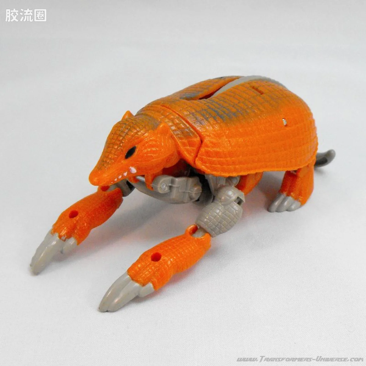 变形金刚 美版野兽之战 96-97 基础级 犰狳 Armordillo - 图片