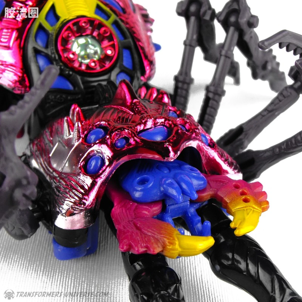 变形金刚 美版BW 98-01 超级级 毒蜘蛛 Blackarachnia - 图片