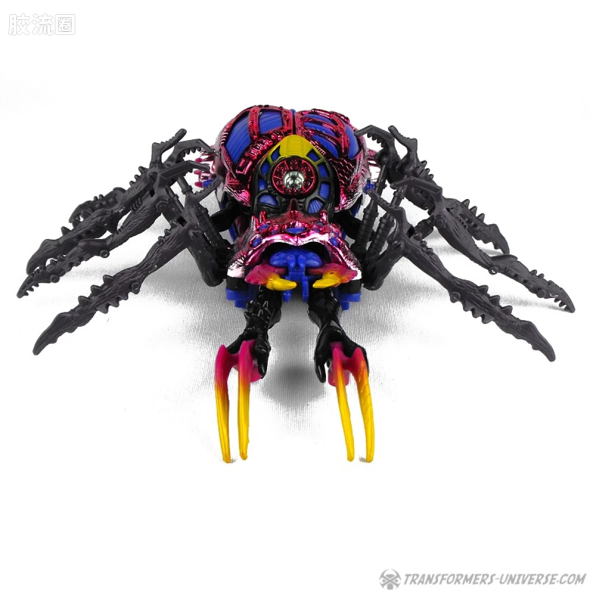 变形金刚 美版BW 98-01 超级级 毒蜘蛛 Blackarachnia - 图片