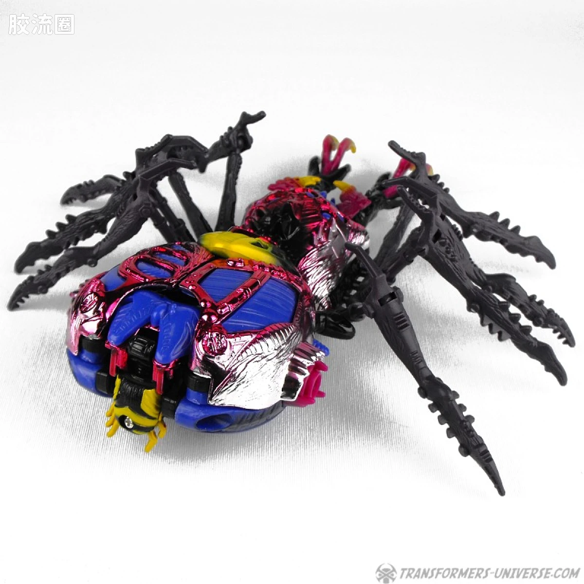 变形金刚 美版BW 98-01 超级级 毒蜘蛛 Blackarachnia - 图片