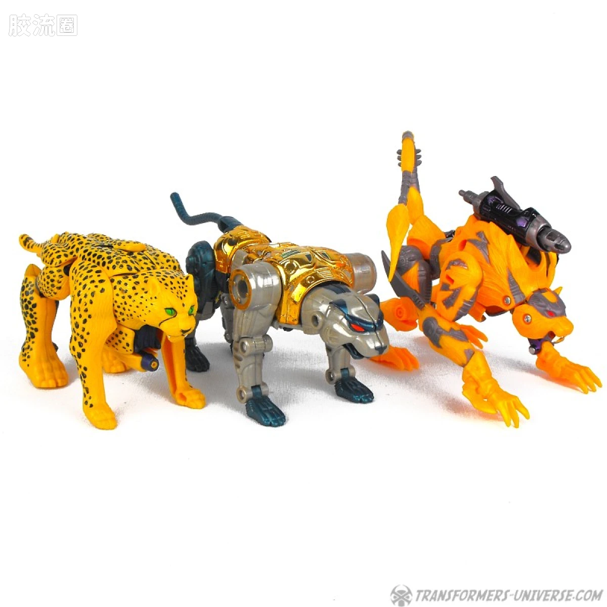 变形金刚 美版BW 98-01 加强级 黄豹 Cheetor - 图片