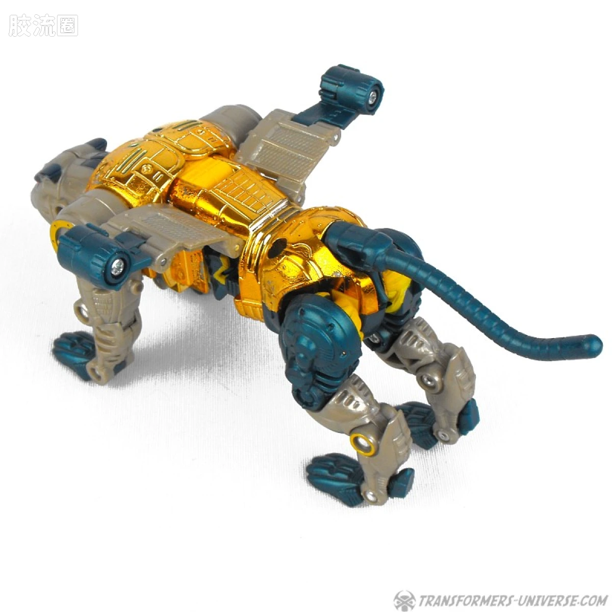 变形金刚 美版BW 98-01 加强级 黄豹 Cheetor - 图片
