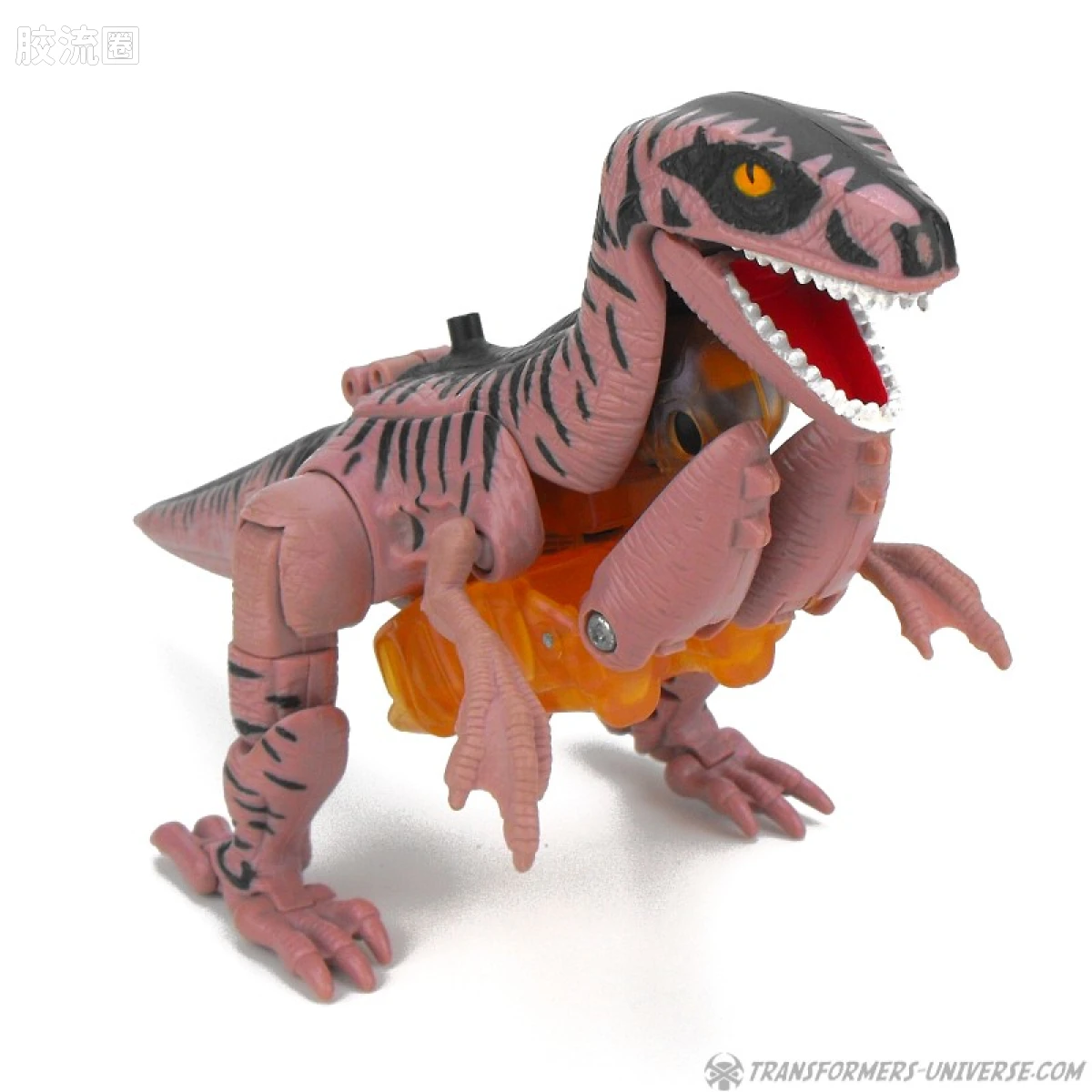 变形金刚 美版野兽之战 96-97 加强级 恐龙勇士 Dinobot - 图片