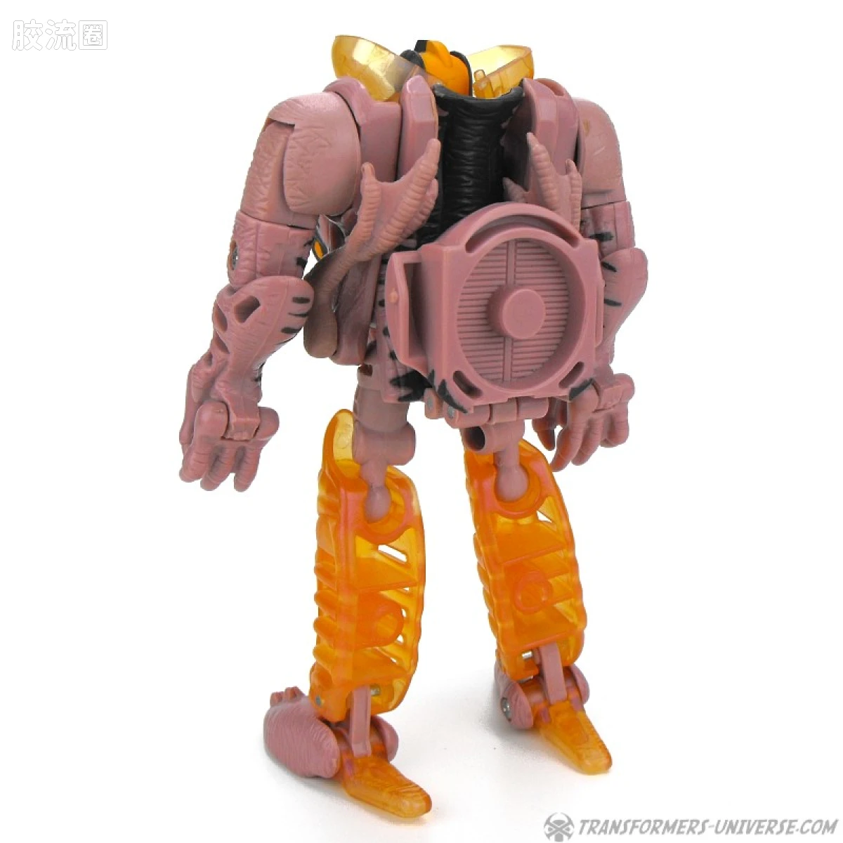 变形金刚 美版野兽之战 96-97 加强级 恐龙勇士 Dinobot - 图片