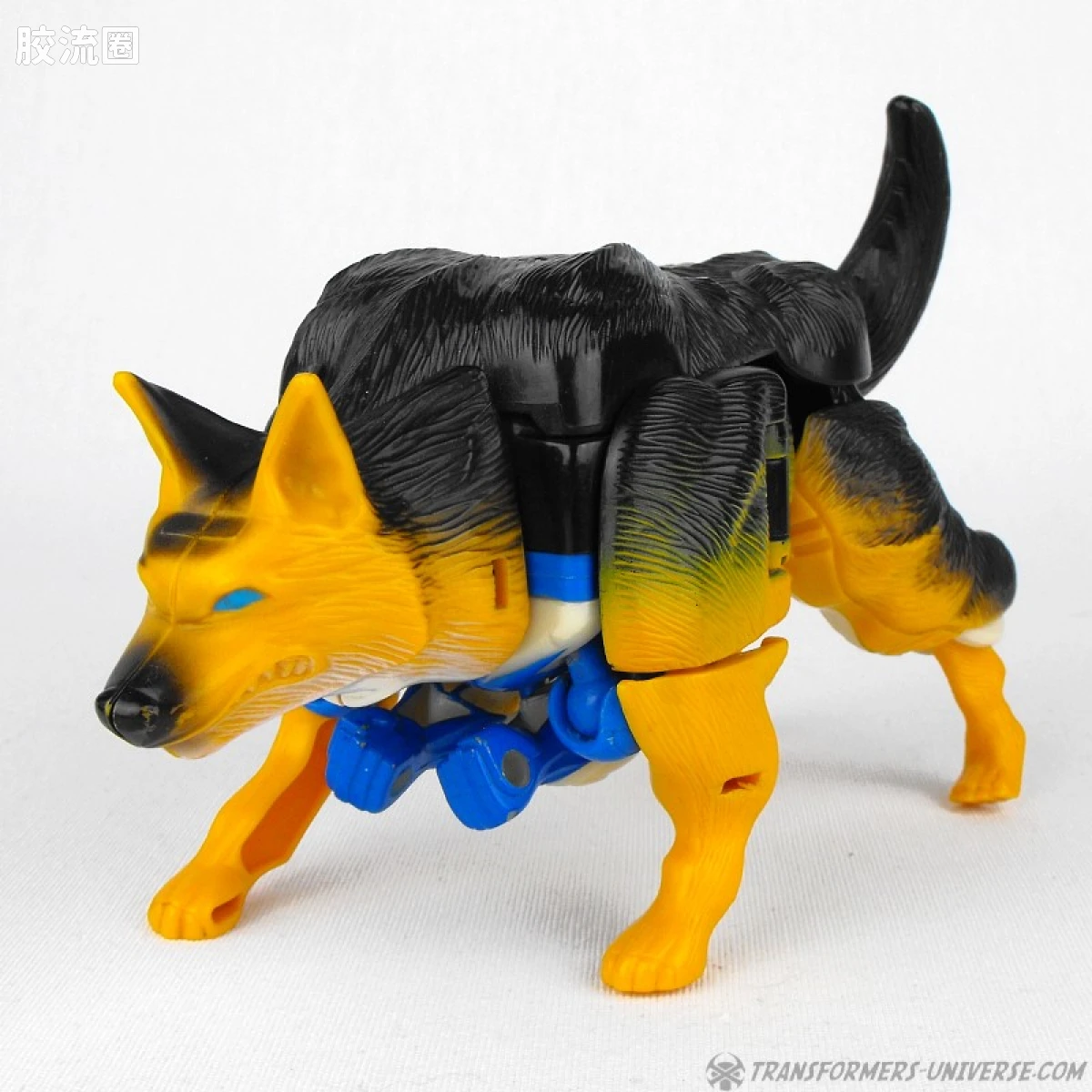 变形金刚 美版野兽之战 96-97 加强级 警犬 K-9 - 图片