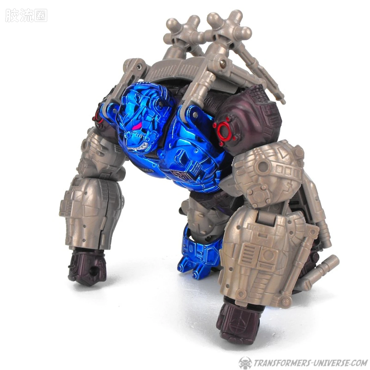 变形金刚 美版BW 98-01 超级级 擎天圣/黑猩猩 Optimus-Primal - 图片