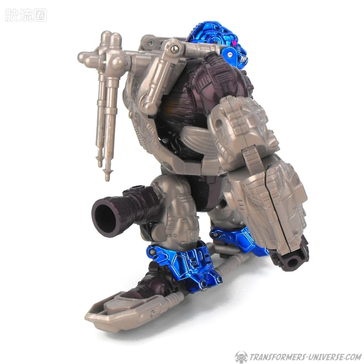 变形金刚 美版BW 98-01 超级级 擎天圣/黑猩猩 Optimus-Primal - 图片