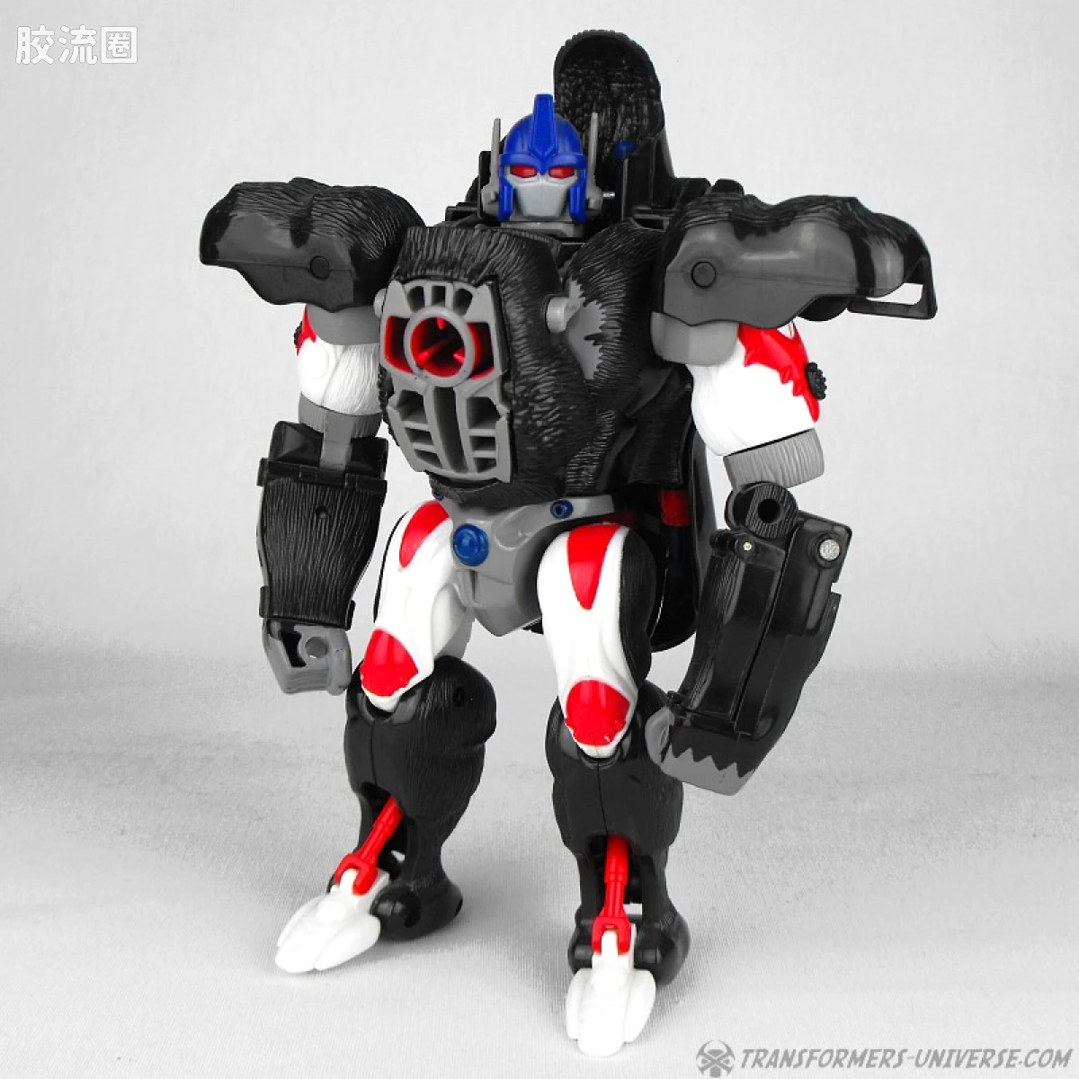 变形金刚 美版野兽之战 96-97 强者级 擎天圣/猩猩队长 Optimus-Primal - 图片