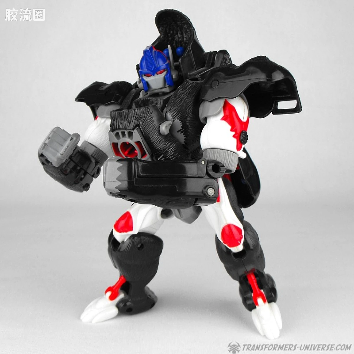 变形金刚 美版野兽之战 96-97 强者级 擎天圣/猩猩队长 Optimus-Primal - 图片