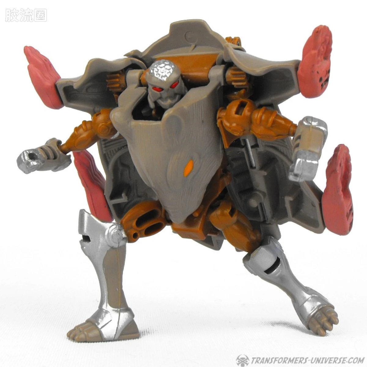 变形金刚 美版野兽之战 96-97 基础级 精灵鼠 Rattrap - 图片