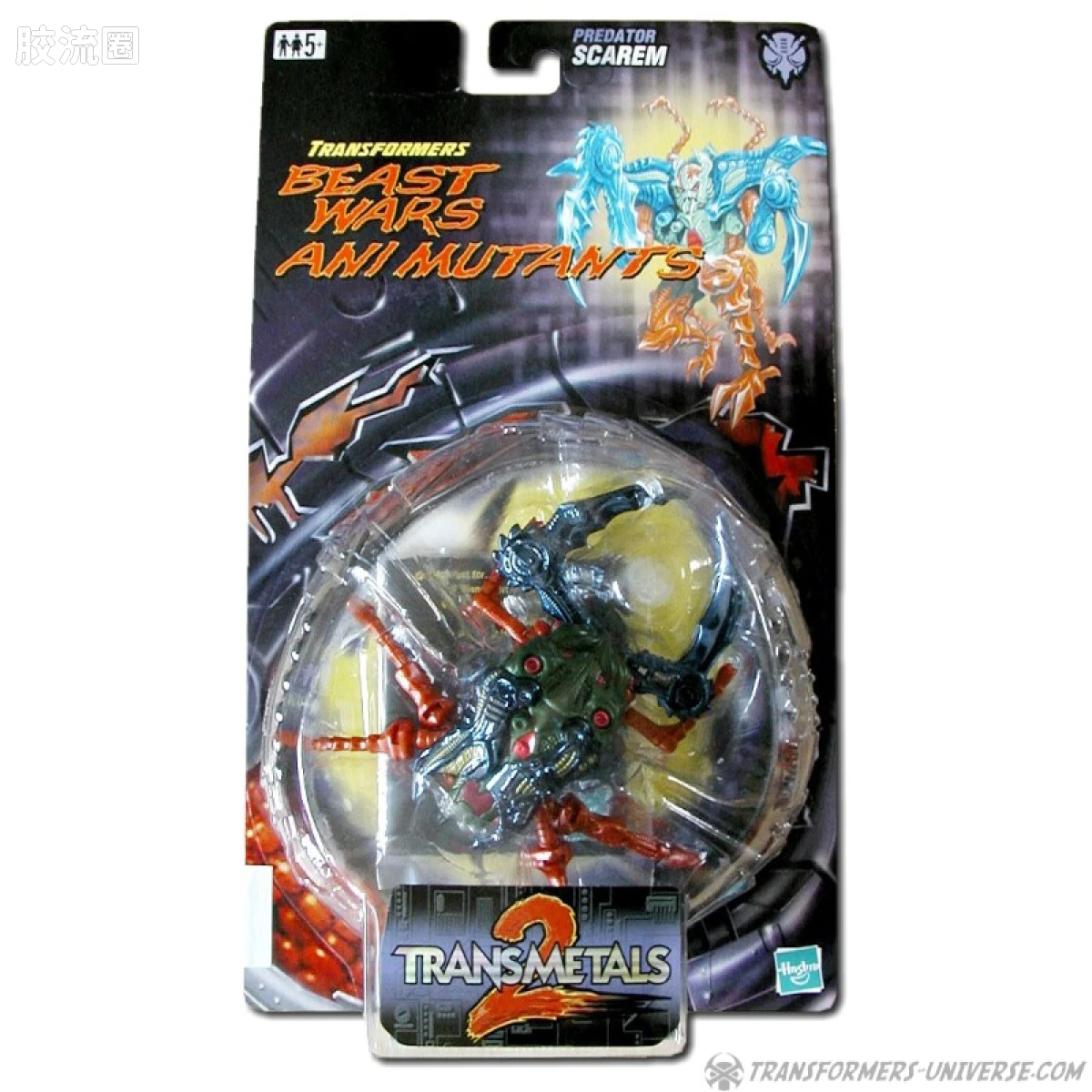 变形金刚 美版BW 98-01 基础级 尖叫 Scarem - 图片