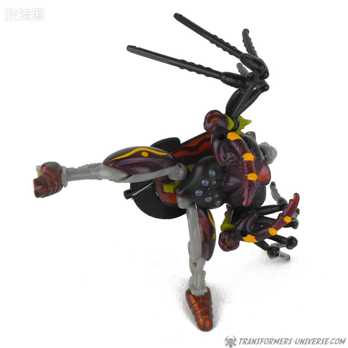 变形金刚 美版野兽之战 96-97 加强级 狼蛛 Tarantulas - 图片