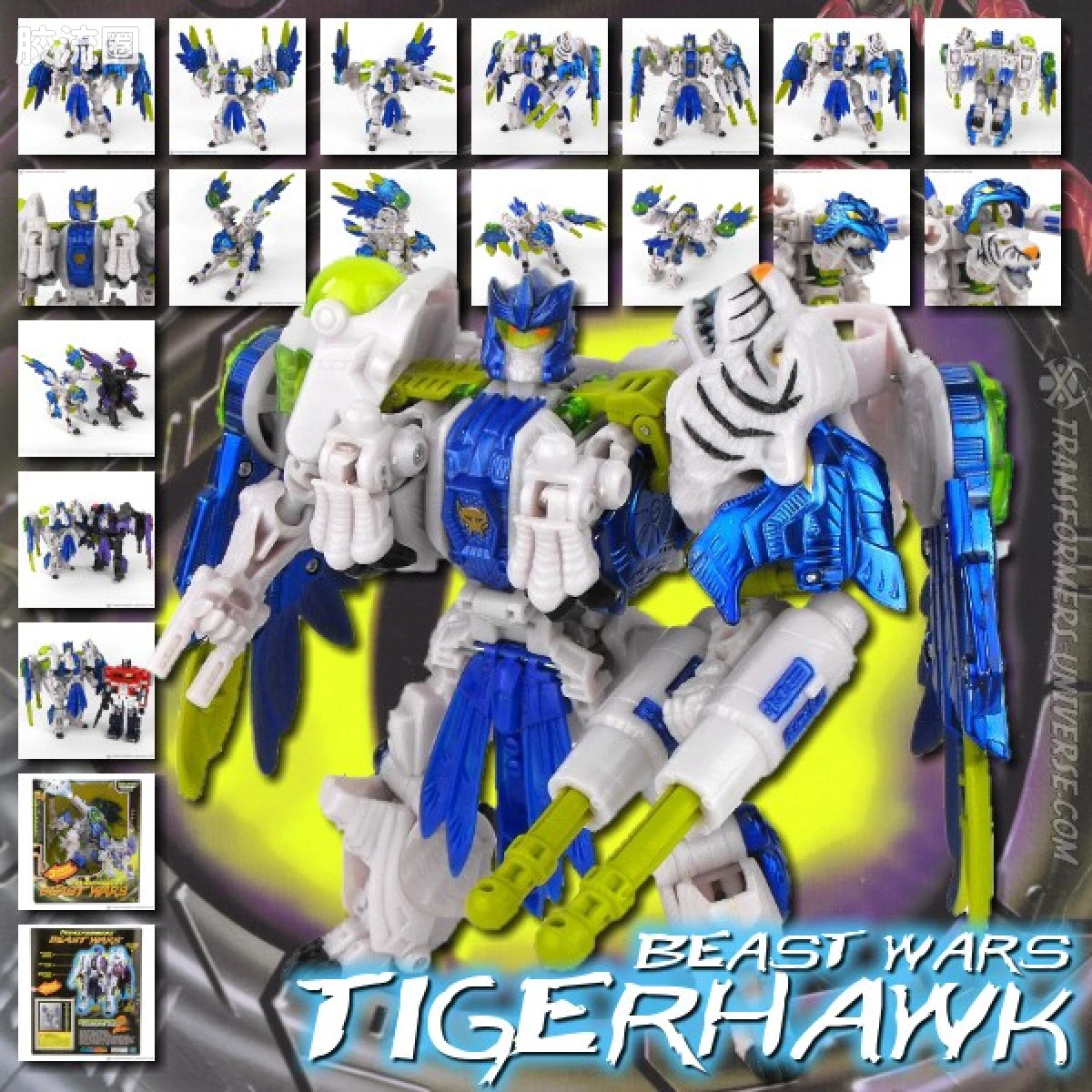 变形金刚 美版BW 98-01 强者级 虎鹰 Tigerhawk - 图片