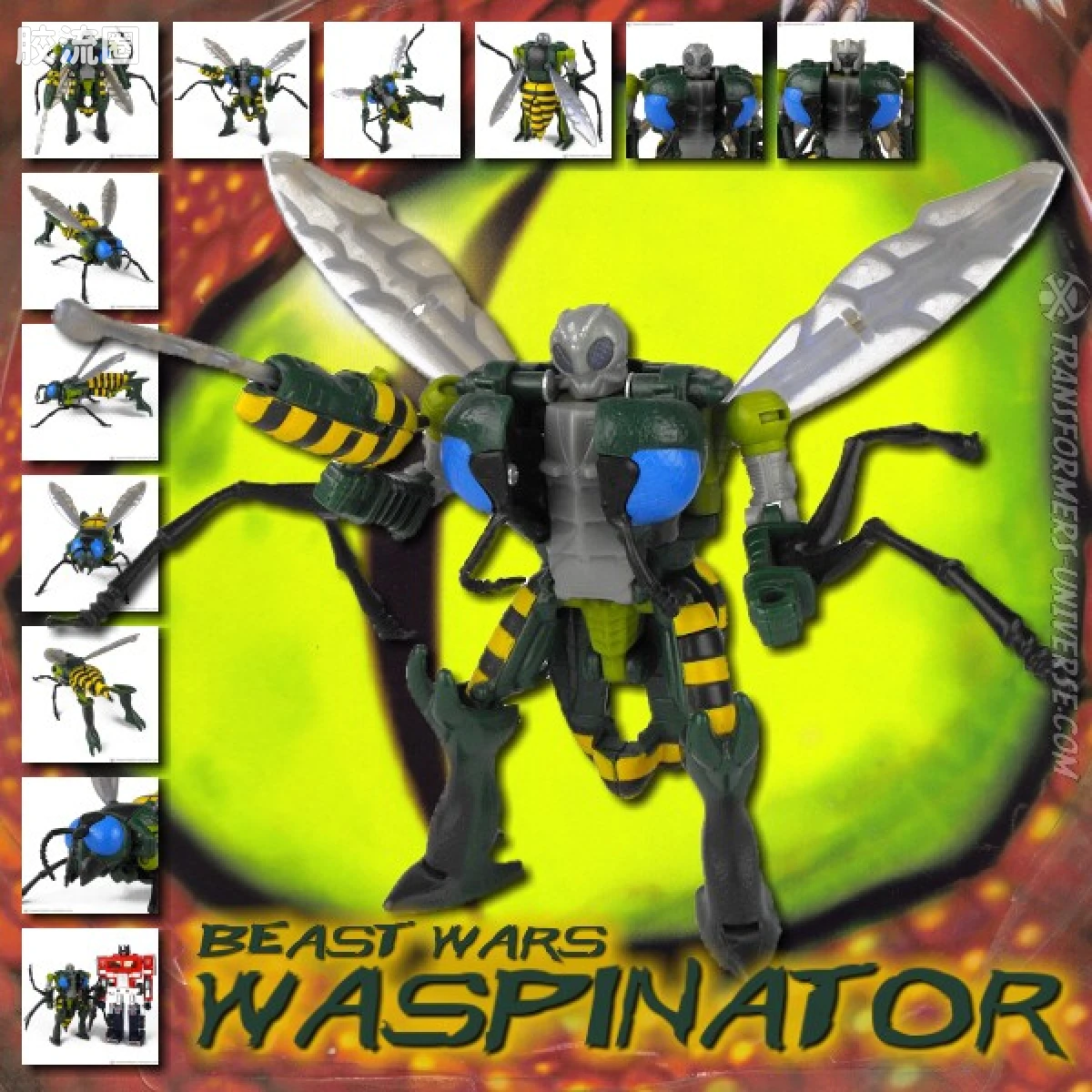 变形金刚 美版野兽之战 96-97 加强级 黄蜂勇士 Waspinator - 图片