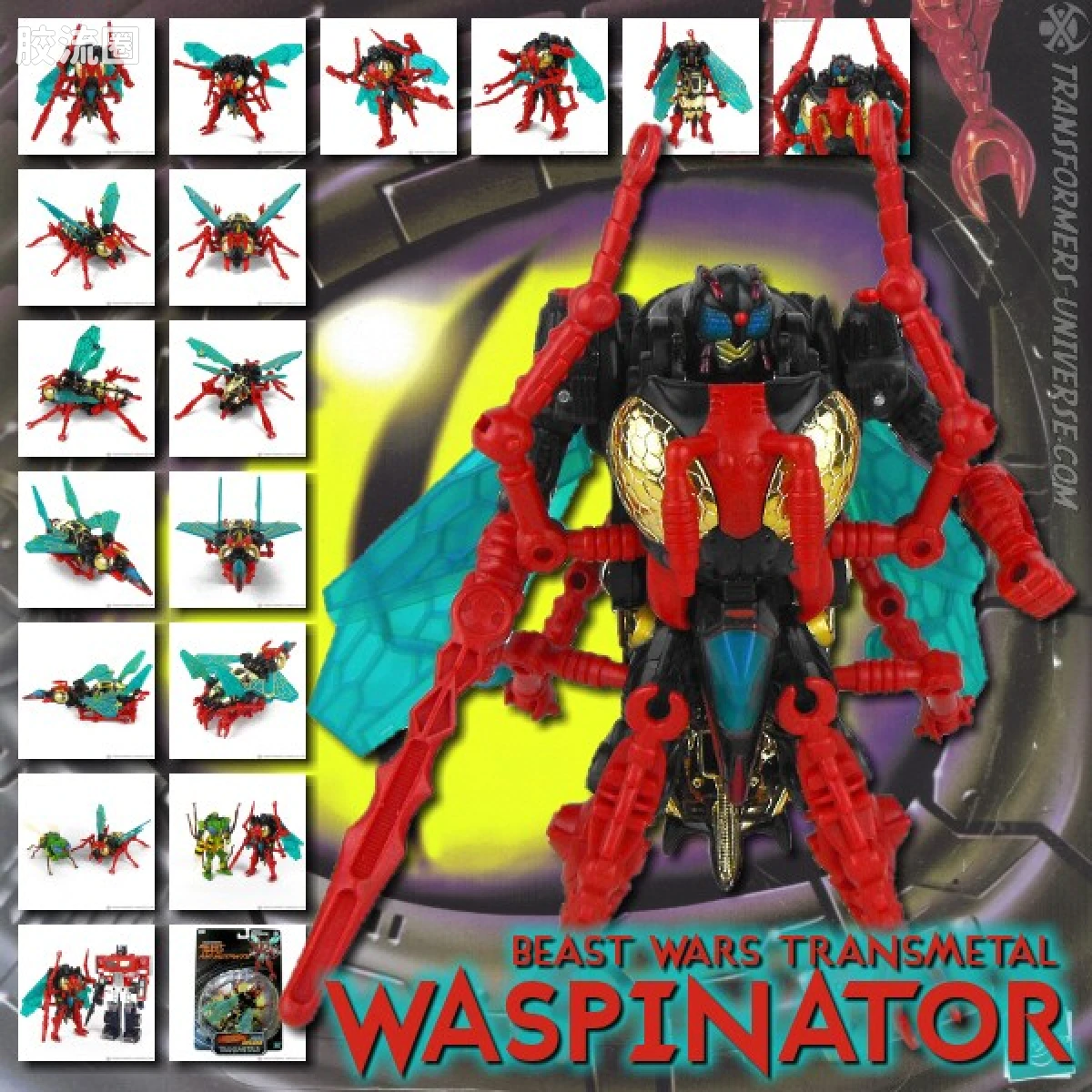 变形金刚 美版BW 98-01 加强级 黄蜂 Waspinator - 图片